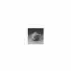 14925 3m Dust Mask 8247