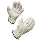 501bg Ammex Unlined Leather Driver