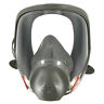 6000ff Series Full Face Respirator