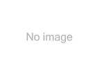 Ger-xp100 Gerson Company Particulate Filter Pancake Disc 643749408838