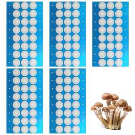 Xy-filter-paper-120 Maehsab 120 Pcs Synthetic Filter Paper Stickers 20mm 0.3 M Disc Strong Adh