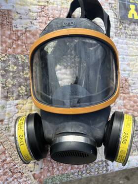2589 Msa Mask