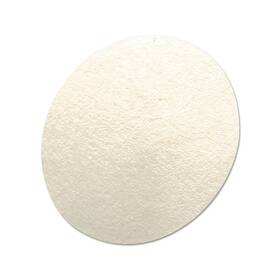 710917 Msa Hydrophobic Filter For Fivestar Alarm And Passport Personal Gas Monitor