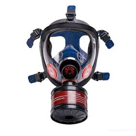 Tesoro Moda 198715433319 Survival And Tactical Full Face Gas Mask Respirator - Heavy-duty Anti-fog Air F