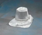 Allegro 037-9910-25 Hood Lens Cover Peel-offs. Fixed Price $46.15.