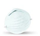 CP1000VP Nuisance Disposable Dust Mask. Fixed Price $24.53.