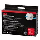 3M Paint Project Replacement Kit (6022): 1-PAIR 6001 Cartridges, 2-PAIRS 5P71 Fi. Fixed Price $24.98.