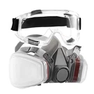 Reusable Respirator Mask With Safety Glasses & 12 Filters For Painting Dust. Fixed Price $23.96.