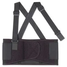 Ergodyne Proflex 1650 Economy Elastic Back Supports. Fixed Price $24.71.