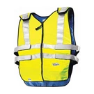 Techniche 6626-HV2XL Cooling Vest,hi-vis LIME,2 To HR.,2XL 9V130. Fixed Price $219.68.