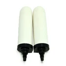 Ceragrav LP-5 Replacement Ceramic Candle Filter Pack Of 2. Fixed Price $84.21.