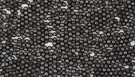 Steel Shot Abrasive Blasting Media, S460 Grit (5 Lb). Fixed Price $12.00.