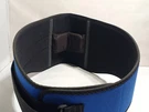 Ergodyne Proflex 1500 Back Support Belt, X-large Weight Lifters Style. Fixed Price $28.00.