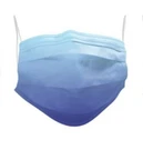 Disposable Protective Mask / Individually Wrapped. Fixed Price $12.00.