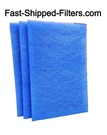 3 Pack Replacement Compatible Eco Healthy Home Air Cleaner Filters. Fixed Price $74.98.