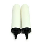 Aquacera Ceragrav LP-5 Replacement Ceramic Candle Filter Pack Of 2. Fixed Price $92.80.