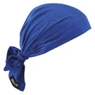 Chill-its By Ergodyne 6710 Evaporative Cooling Trianlge Hat,blue 52JA07. Fixed Price $8.56.